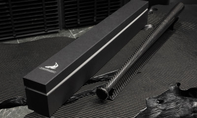 TITAN decorative bat